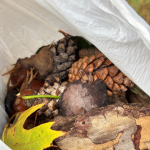 IMG_9778-1758551067798